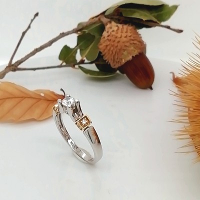 Classic style ring - 2271